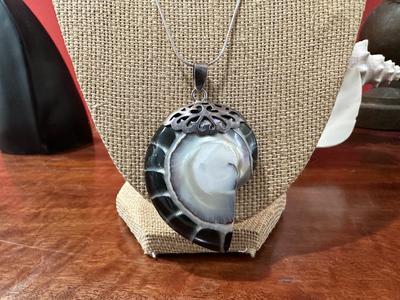 Nautilus Pendant 2.5"