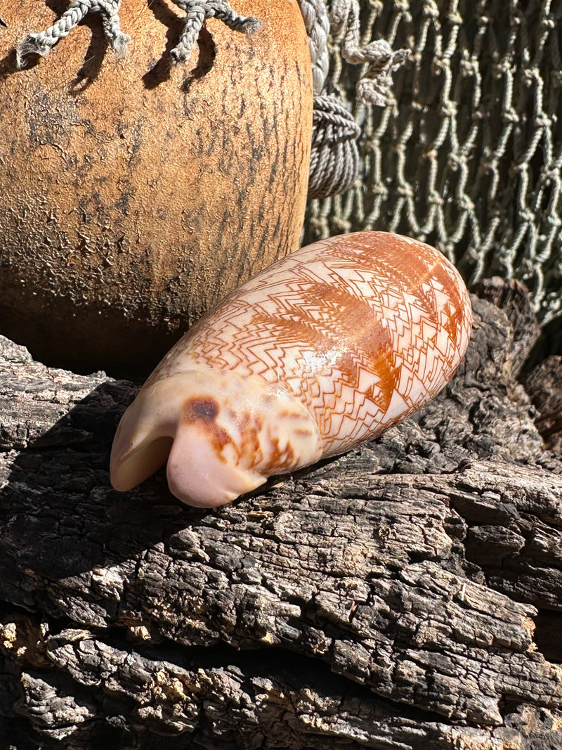 Tent Olive shell with orange zigzag patterns 