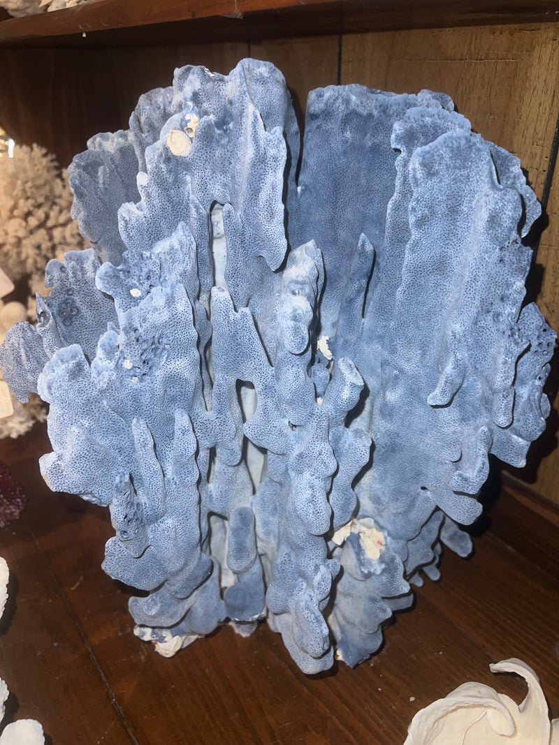 Vintage Blue Ridge Coral- 15"