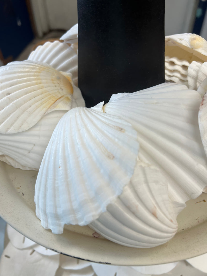 White Baking Scallop Shells