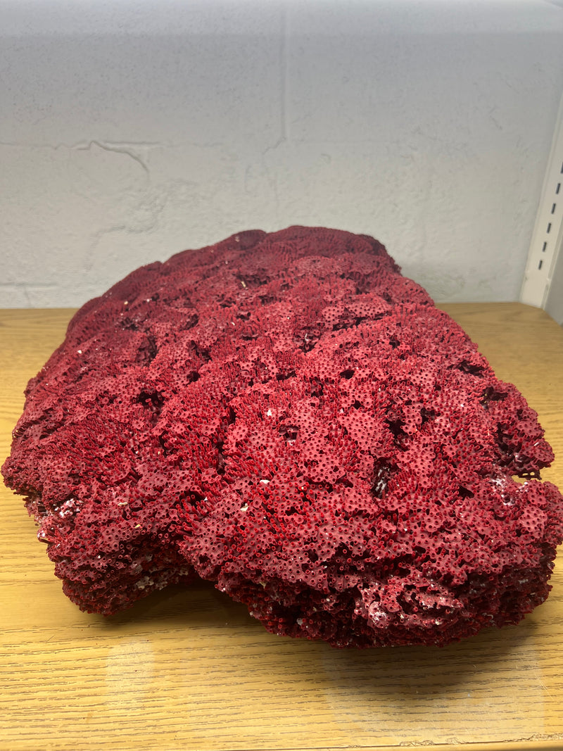 Vintage Red Pipe Coral- 24"