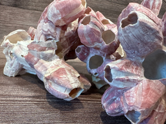 Close-up of purplish-gray barnacle cluster from the Gulf of Mexico on a wooden background.