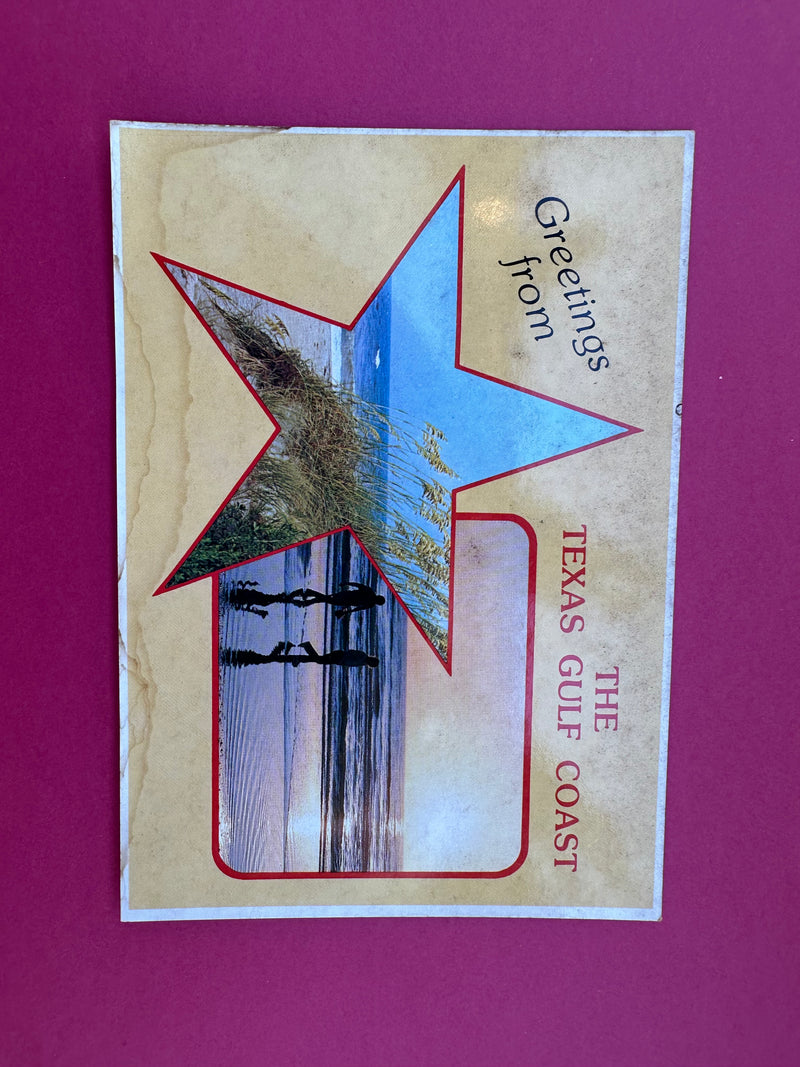 Vintage The Texas Gulf Coast Postcard