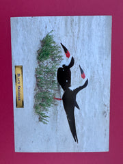 Vintage Black Skimmer Postcard