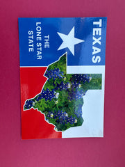 Vintage Texas Postcard