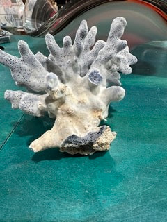 Vintage Blue Ridge Coral - 4.5X4.5X4"