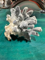 Vintage Blue Ridge Coral - 4.5X4.5X4