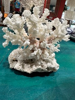 Vintage Brownstem Coral