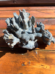 Vintage Blue Ridge Coral- 11