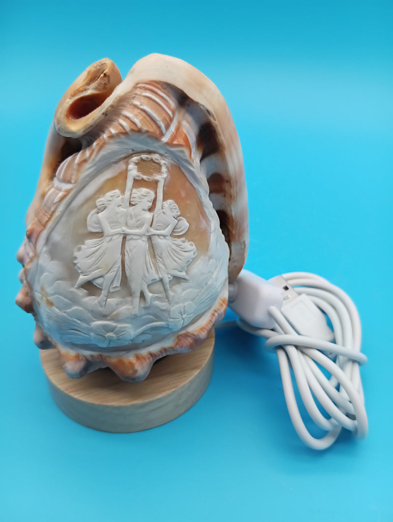 Cameo shell light illuminated on wooden base with USB cord