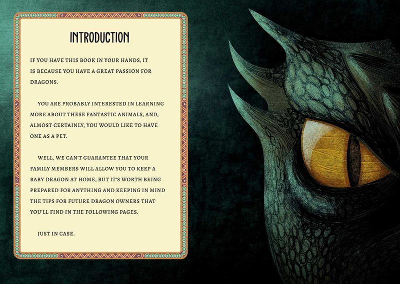 Book introduction text with a dragon's eye on a dark background
