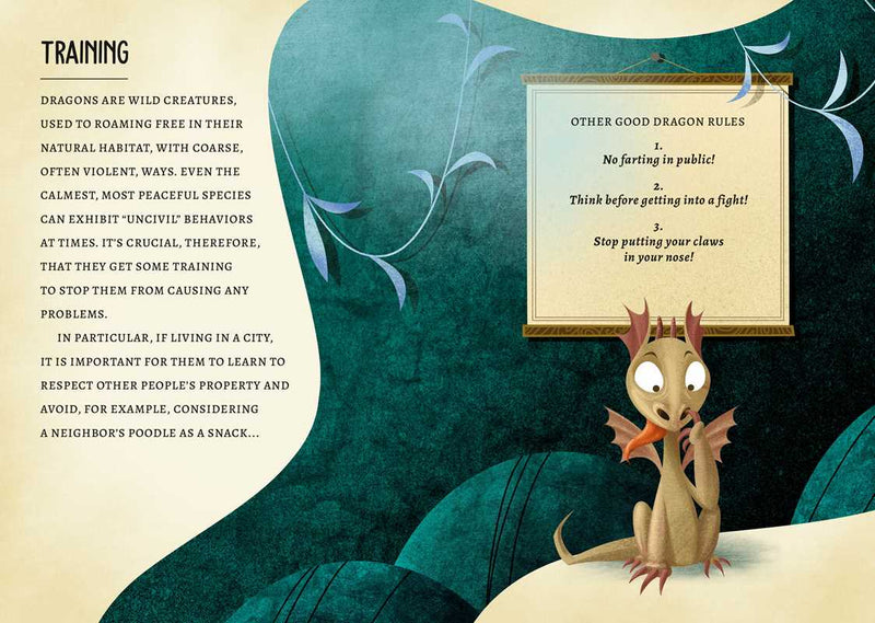 Illustration of a dragon with a sign listing 'Other Good Dragon Rules' on a green background.