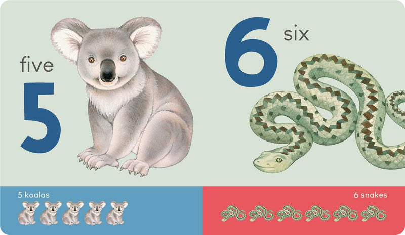 Educational card with a koala and snake illustration, numbers, and animal counts.