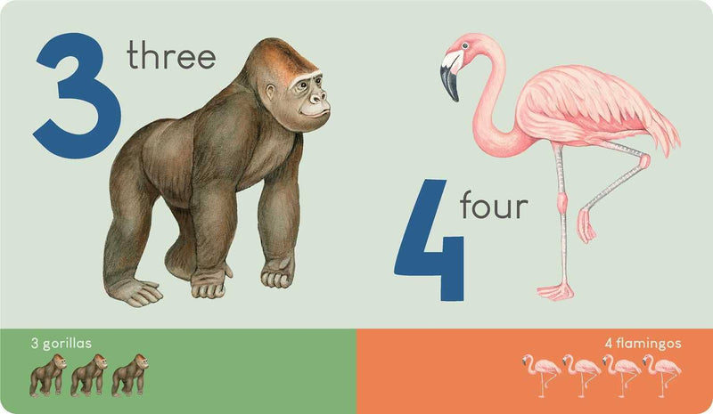 Educational card with a gorilla and flamingo, labeled with numbers and quantities.