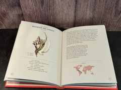 Inside of The Little Book of Shells: Gems of Nature by M.G. Harasewych and Fabio Moretzsohn, featuring an intricate shell illustration of a Rooster-Tail Conch with scientific information.