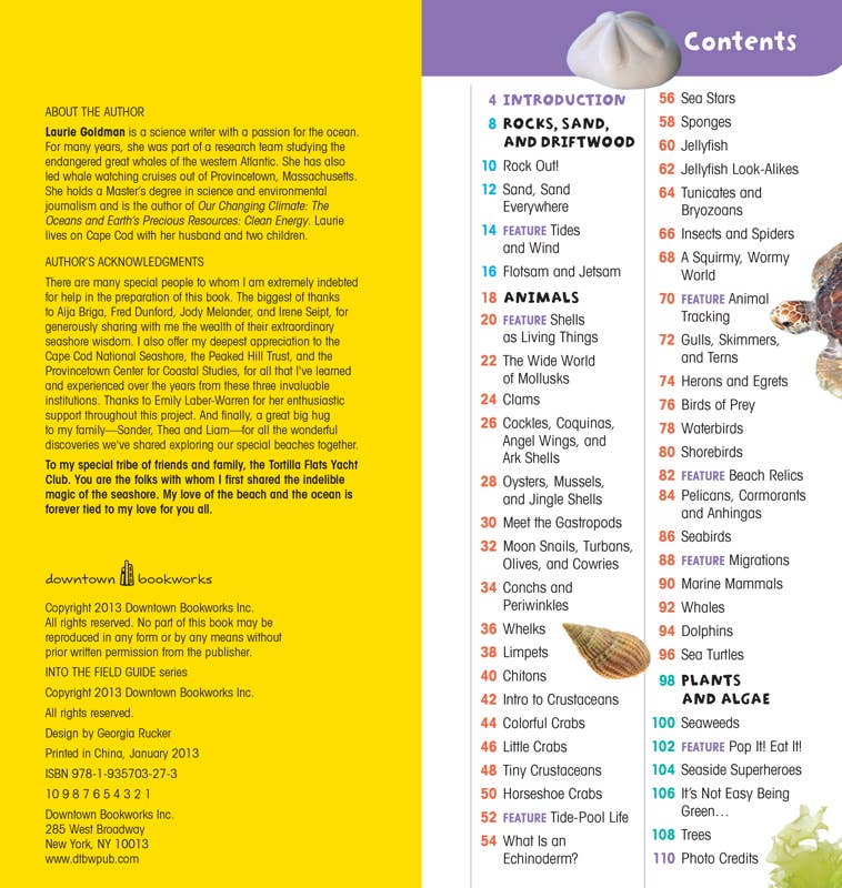 A Walk on the Beach – Boxed Kit