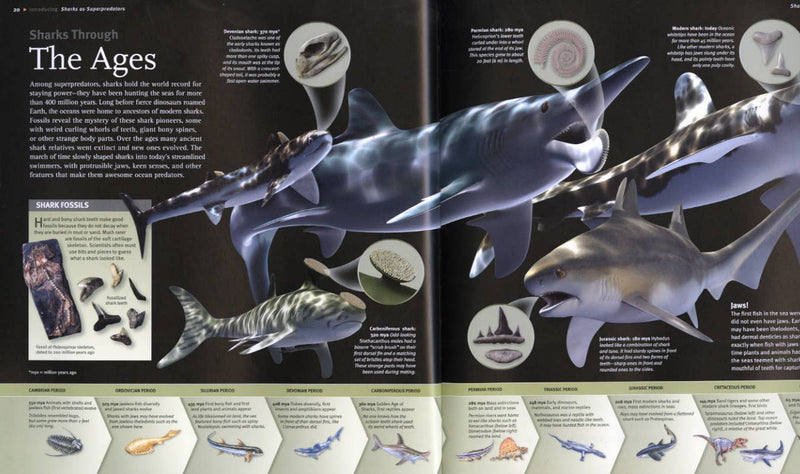 Illustration of shark evolution through different ages in a magazine layout.