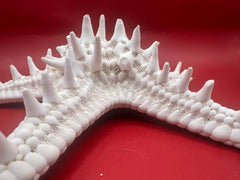 Close-up of knobby starfish texture showing natural details