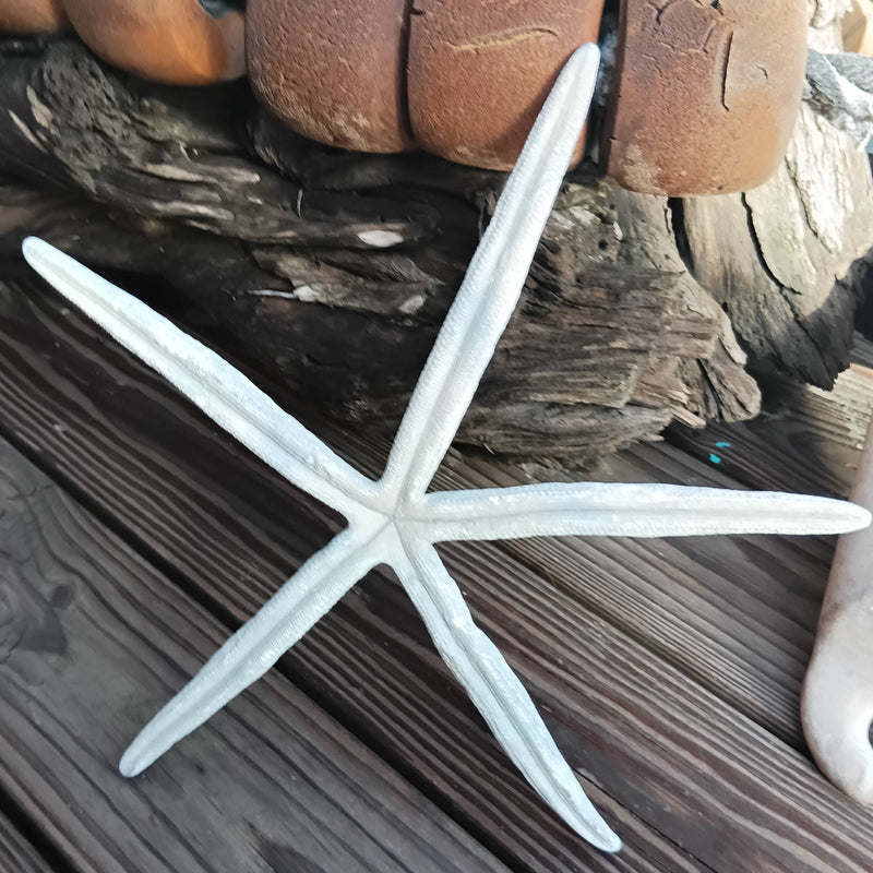 Large 15.75-inch Blue Linkia Starfish – authentic ocean-inspired decorative piece