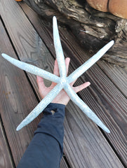 Large vibrant blue sea star with five arms – marine-inspired coastal decor