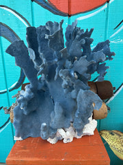 Large vintage Blue Ridge Coral specimen with deep indigo coloration on display stand