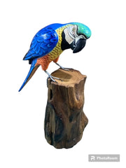 Medium Parrot On Stump- 3 Colors