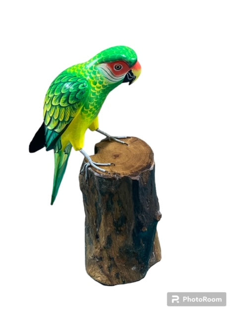 Medium Parrot On Stump- 3 Colors