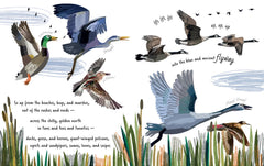 Illustrations of birds migrating in Follow the Flyway