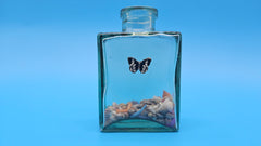 Small glass bottle with butterfly accent and mixed seashells – whimsical coastal decorative piece
