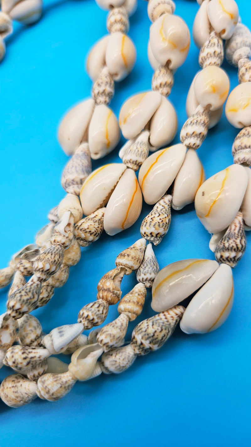 Boho Nassa & Cowrie Shell Seashell Plant Hanger - 34.5
