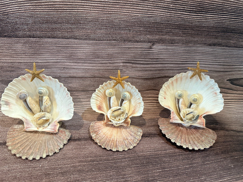 Handmade Seashell Nativity Scene featuring real shells with a starfish on top, unique and one-of-a-kind, approximately 4"x3"