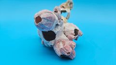 Ocean-inspired barnacle cluster fused with Jewel Box shell – 5x3x3.5 specime