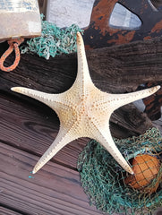 Close-up of pink-tipped starfish showing natural texture and color