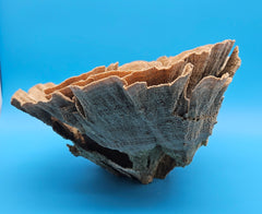 Vintage brown Poca coral - sustainable ocean-inspired decor