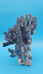 Authentic Blue Ridge Coral vintage decor accent