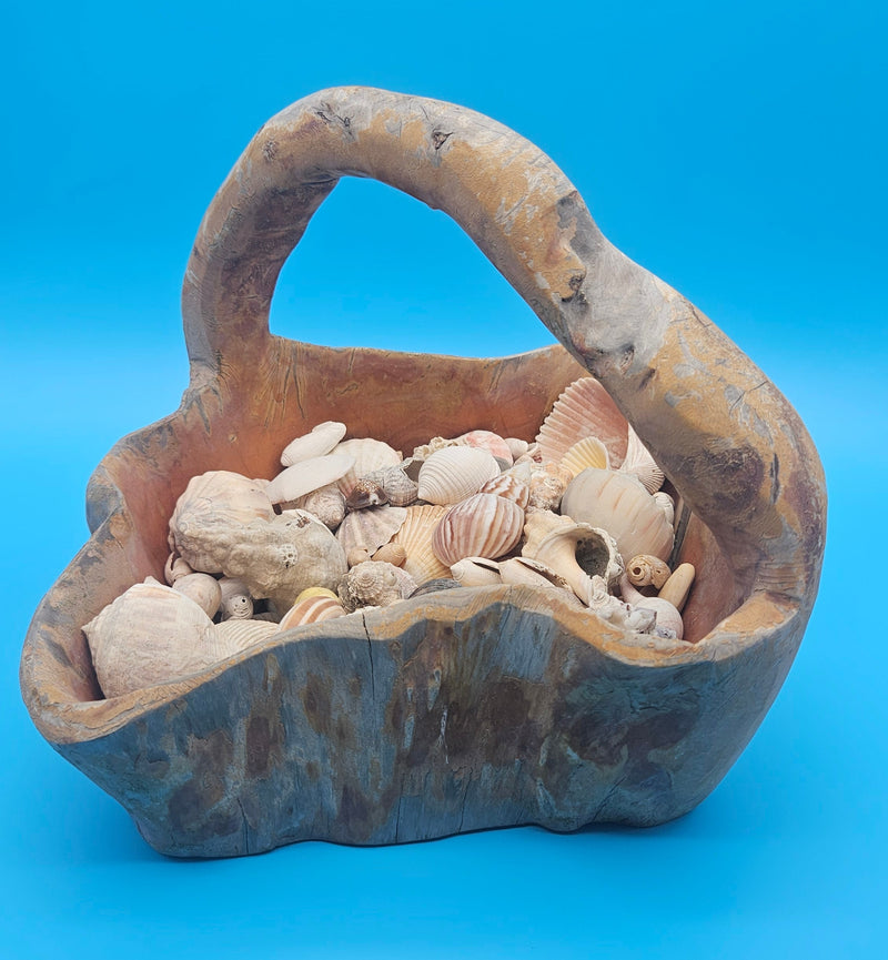 Natural wood basket filled with assorted seashells – coastal home accent