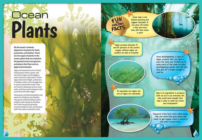 Educational illustration about ocean plants with text and graphics on a blue background