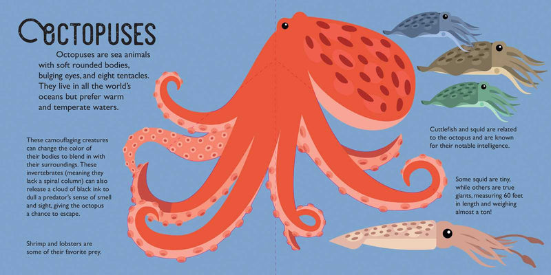 Illustration of an octopus and other sea creatures on a blue background