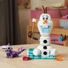 43287 Olaf and Bruni's Picnic Fun