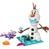 43287 Olaf and Bruni's Picnic Fun