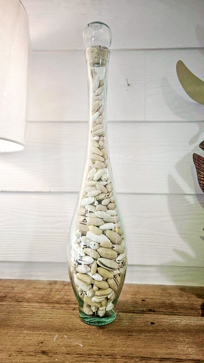 Tall glass vase jar filled with Olive shells – elegant coastal decorative accent