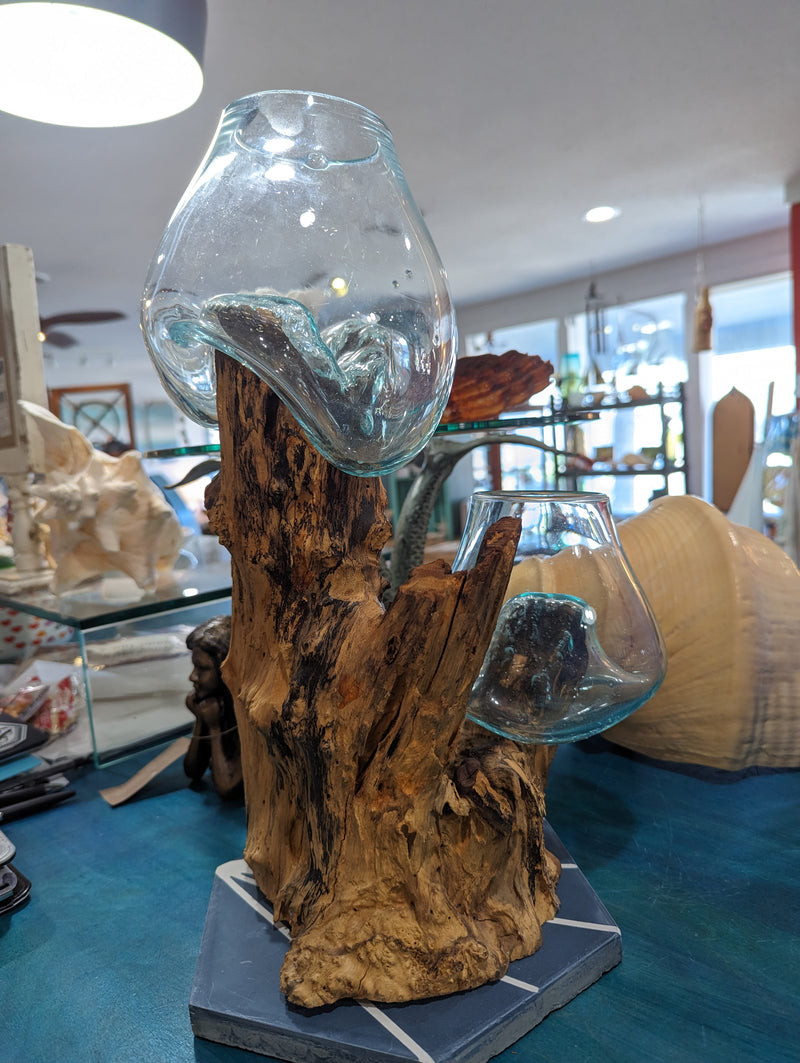Teak Wood and Molten Glass Terrarium- Two Globes SK