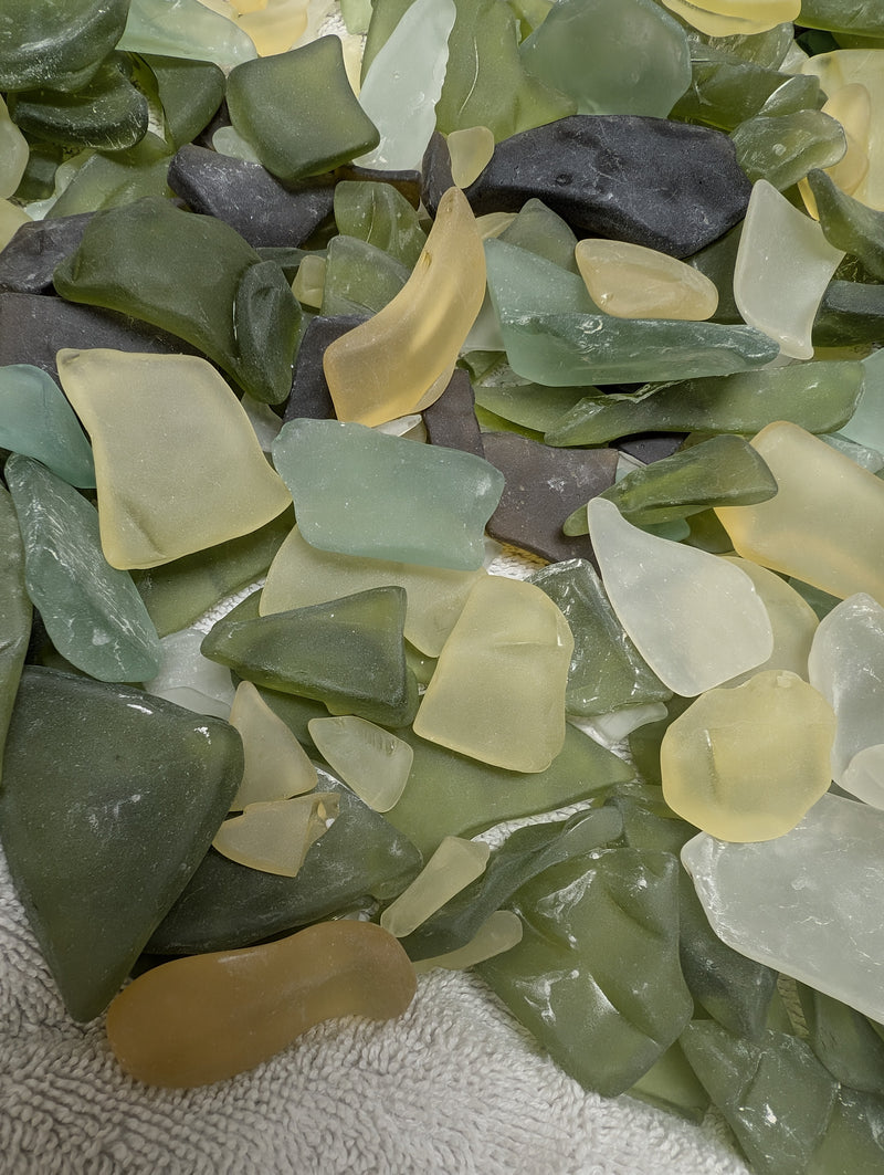 Earth Toned Sea Glass