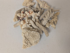 Mixed White Coral Pieces Crafting Assortment- Broken Scrap Lot