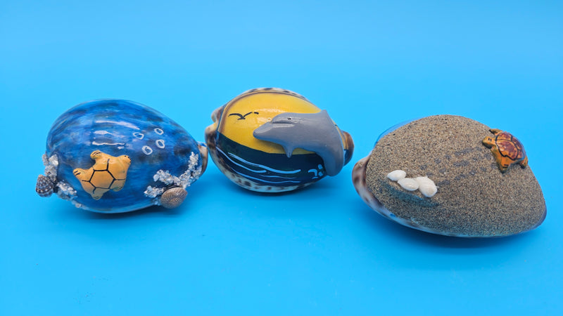 Three painted cowrie shell magnets with sea turtle, dolphin, and sand scene designs