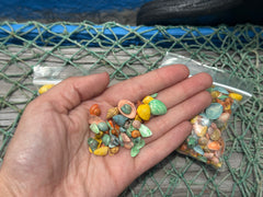 A hand holding a small bag of pastel dyed shell mixture, with visible colorful shells in a net-like background.