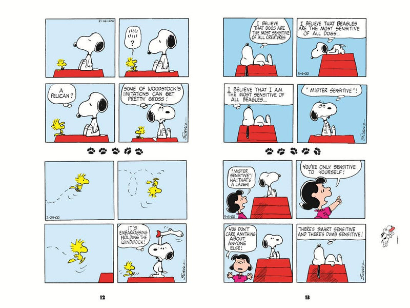 Comic strip with Snoopy and Woodstock in various scenarios
