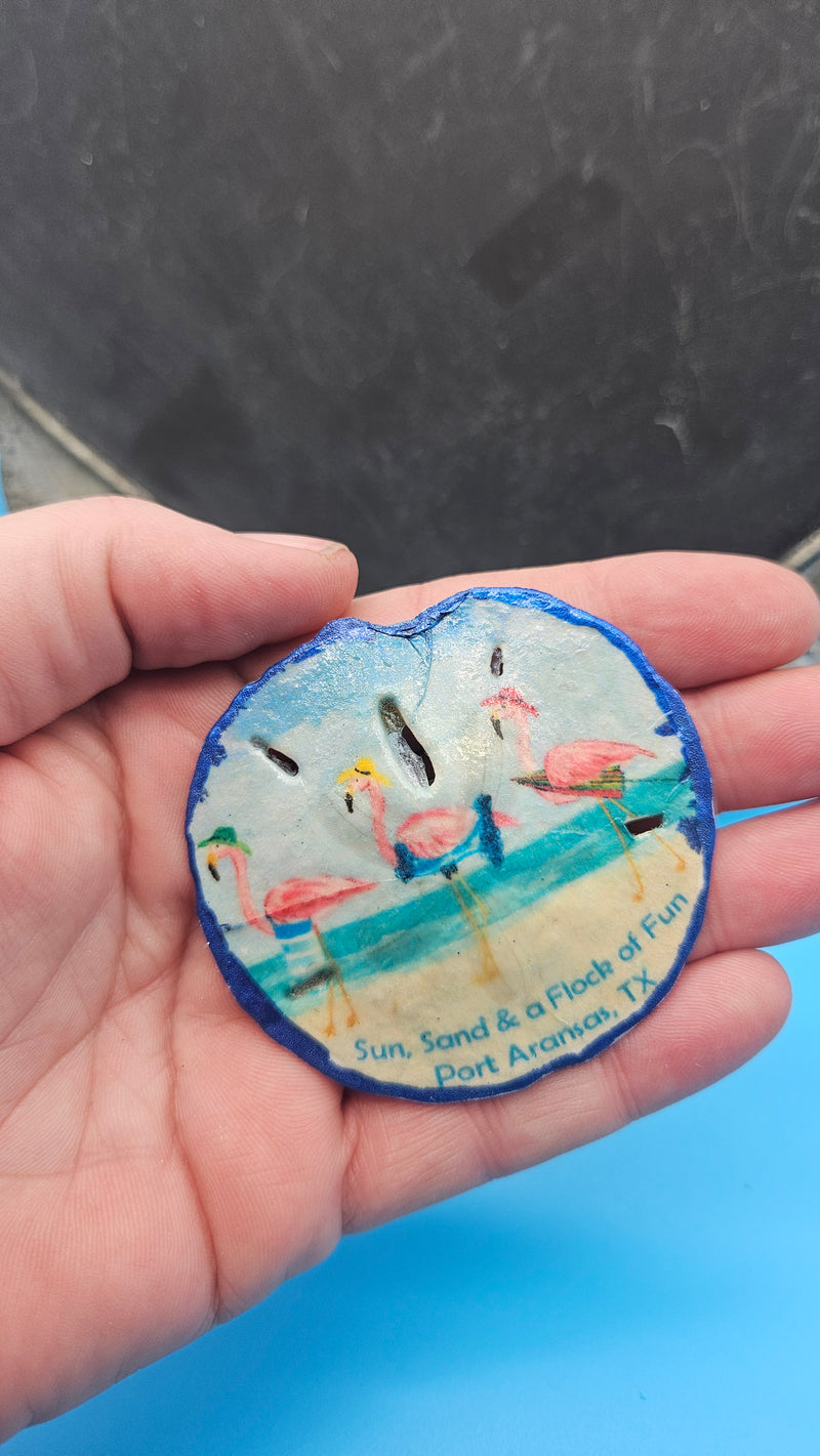 Port Aransas sand dollar magnet “Flock of Fun” coastal souvenir decor