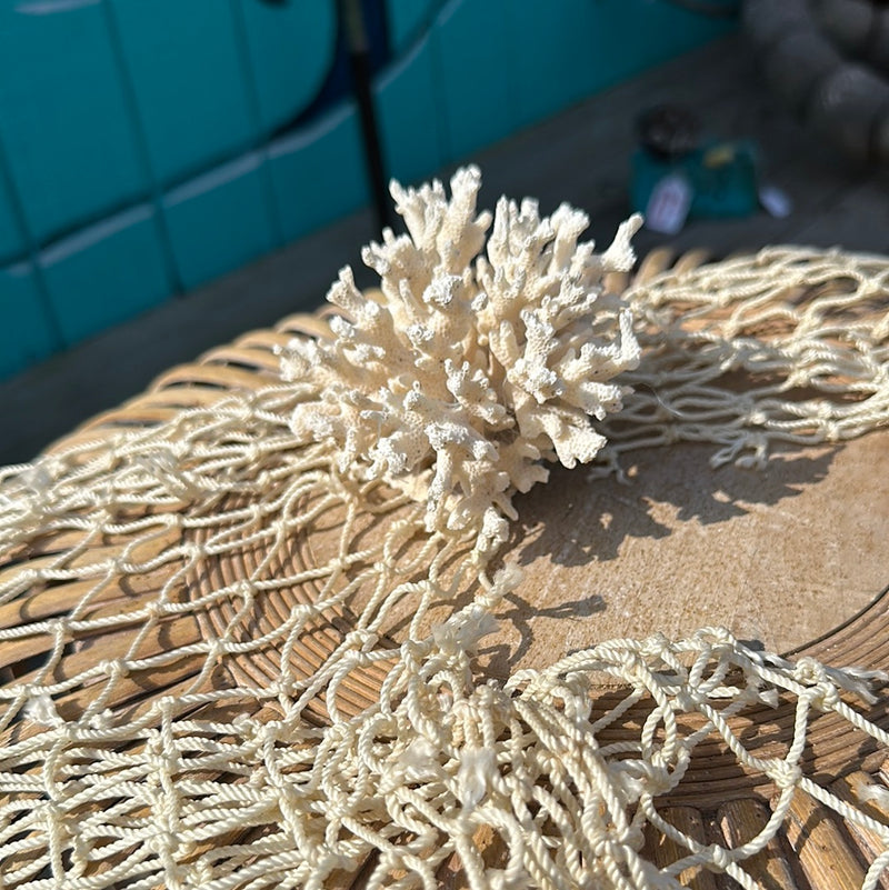 Vintage white lace coral displayed on a netting backdrop.