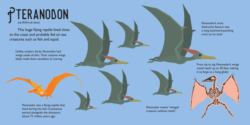 Illustration of a Pteranodon with text explaining its features and habitat.